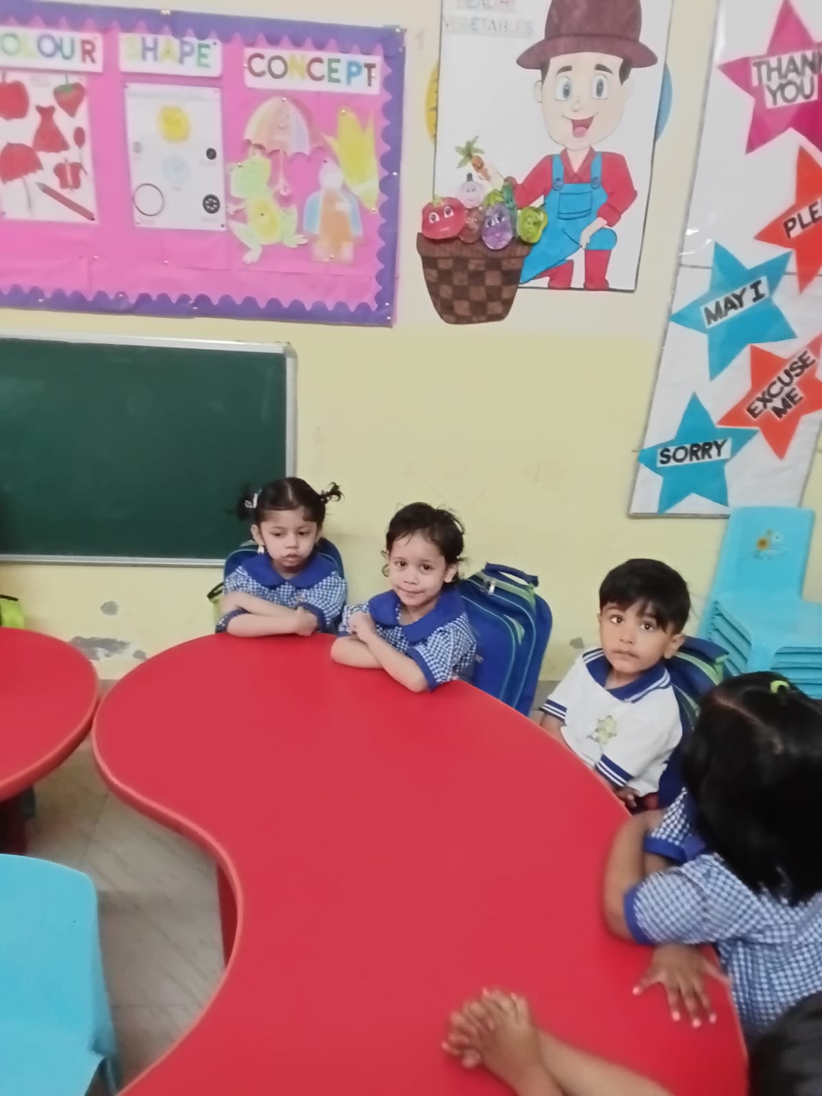 little tree house pre school aliganj lucknow 3